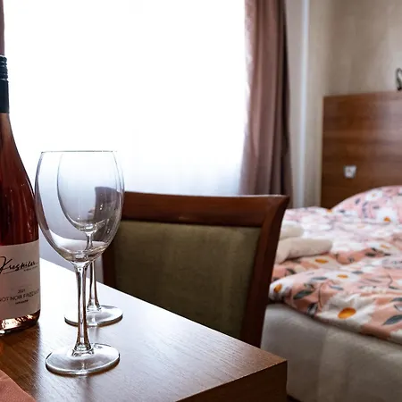 Guest house U Katalpy